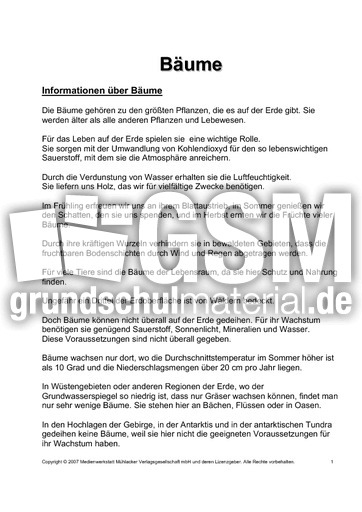 Bäume-Text-zur-Präsentation-1.pdf